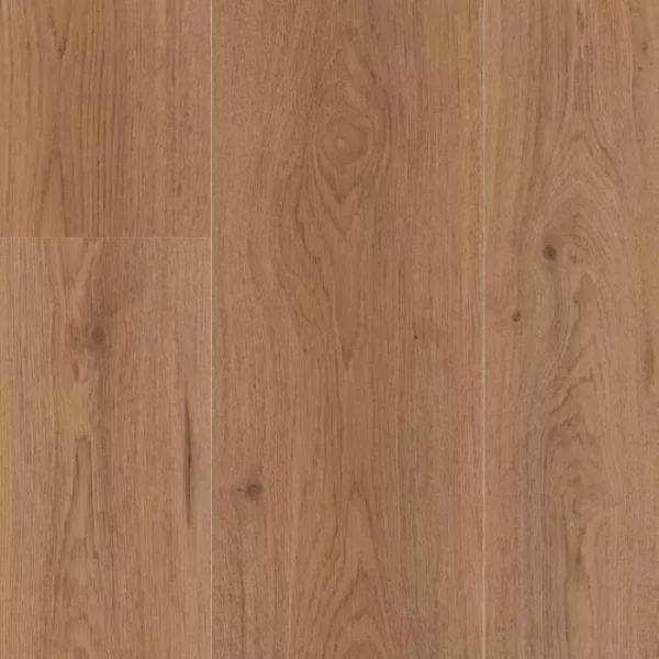 Laminate Flooring Trend Oak Nature
